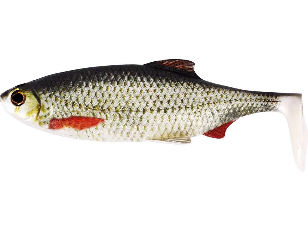 RICKY THE ROACH SHADTAIL