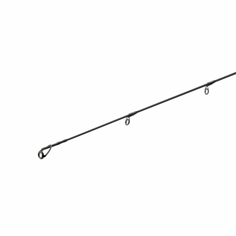 SALMONOID CCS