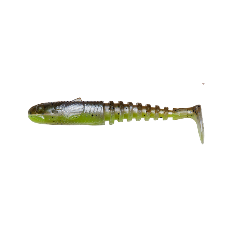 GOBSTER SHAD
