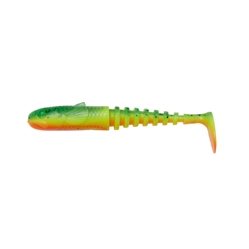 GOBSTER SHAD