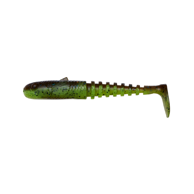 GOBSTER SHAD